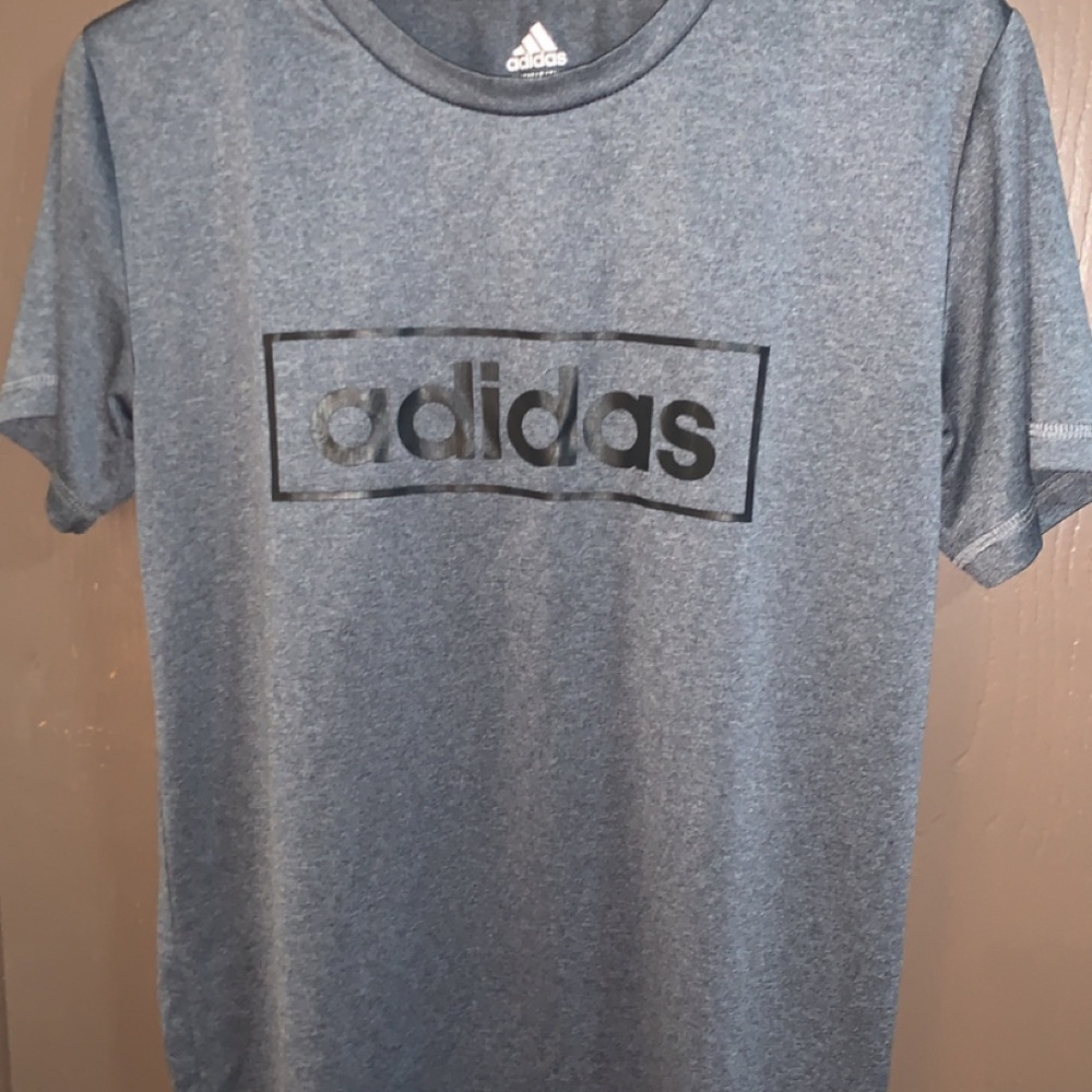 Adidas Men's Grey/Blue Dri-Fit T-Shirt